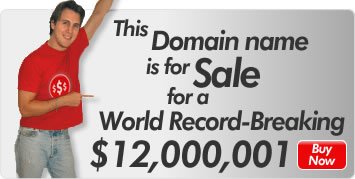 This Domain name is for Sale for a World Record-Breaking $12,00,001