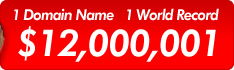 1 Domain Name 1 World Record $12,000,001